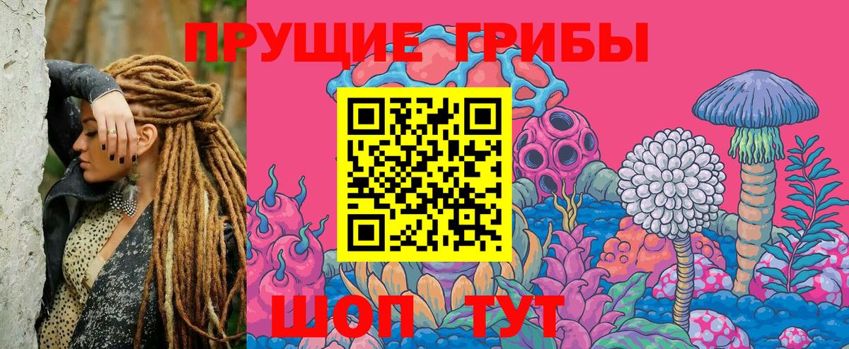 Галлюциногенные грибы мицелий  где можно купить наркотик  Каменск-Уральский  Вход с VPN 