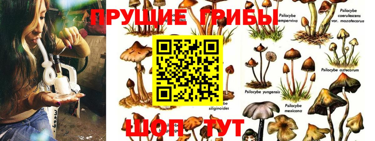 Псилоцибиновые грибы MAGIC MUSHROOMS Каменск-Уральский